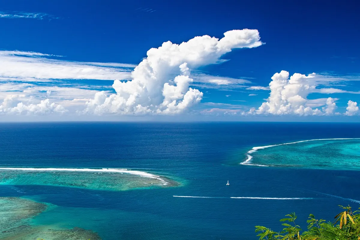 Ocean Acidification and Coral Reefs: What You Need to Know